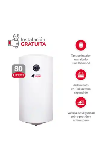Tiendas EFE Terma one 80 litros bryant oferta