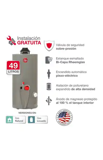 Tiendas EFE Termotanque rheem tipo a 49 litros gn oferta
