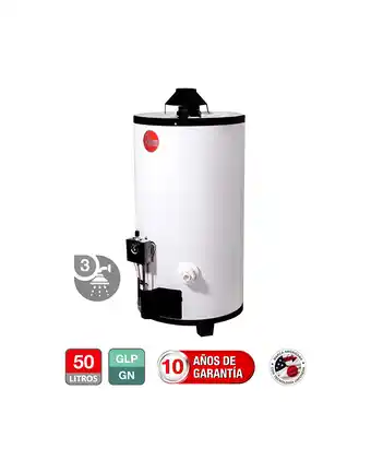 Tiendas EFE Termotanque rheem tipo a 49 lt gn oferta