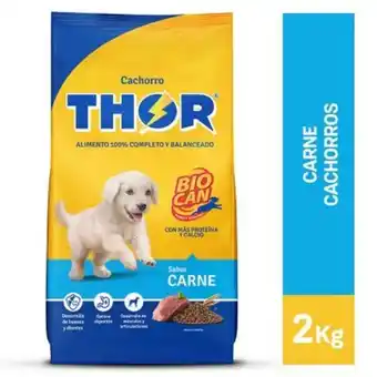 Tottus Alim thor para cachorro carne x 2kg oferta