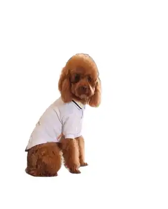 Tiendas EFE Polo sport elegante talla 3 oferta