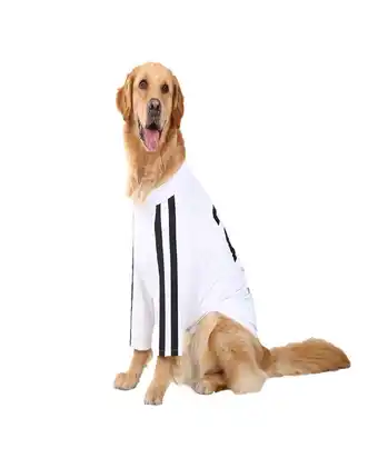 Tiendas EFE Camiseta deportiva con cremallera talla 6 oferta