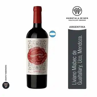 Tottus Vino zorro de uco malbec oferta