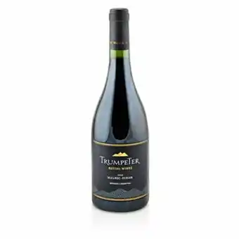Tottus Vino tinto malbec syrah oferta