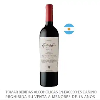 Tottus Vino tinto syrah oferta