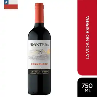 Tottus Vino carmenére frontera - chile oferta