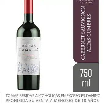 Tottus Vino tinto altas cumbres cabernet sauvignon 750 ml oferta