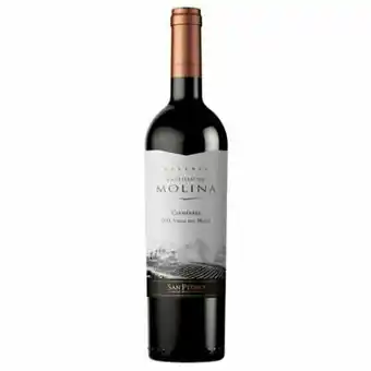 Tottus Vino carmenere castillo de molina reserva 750 ml oferta