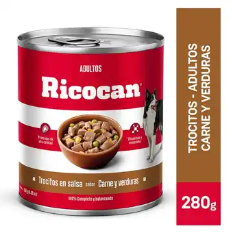 Tottus Ricocan troc sabor carnverd adul lt x 280g oferta