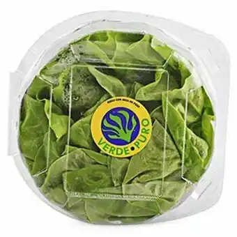 Tottus Lechuga verde puro x caja oferta
