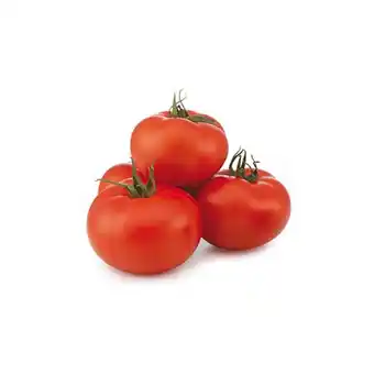 Tottus Tomate redondo organico x kg oferta