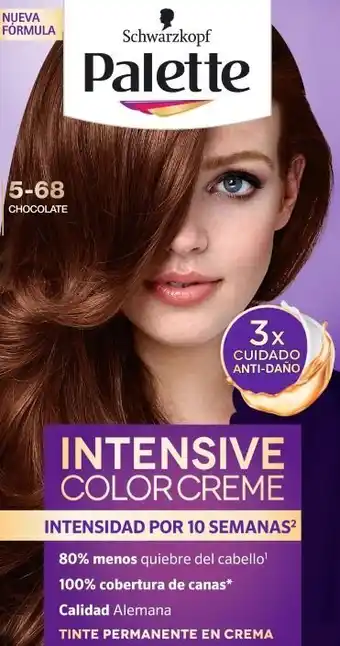 Tinte color creme tono 5-68 chocolate