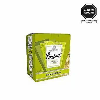 Tottus Pack de bebida ginger ale spicy display 12 unds oferta