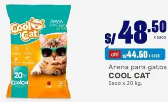 Makro Cool Cat Arena para Gatos 20kg oferta