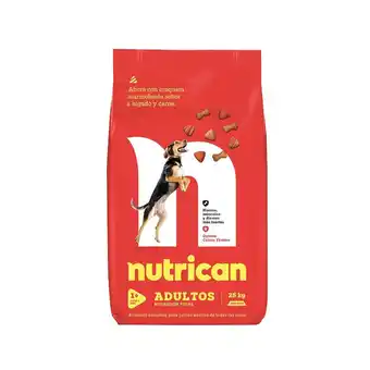 Tottus Alimento seco perro adulto +1 año higado y carne oferta