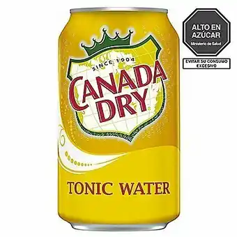 Tottus Canada dry tonic water oferta