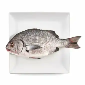 Tottus Chita fresca oferta