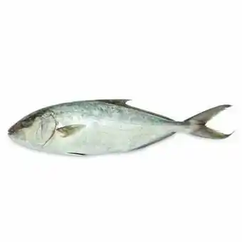 Tottus Fortuno oferta