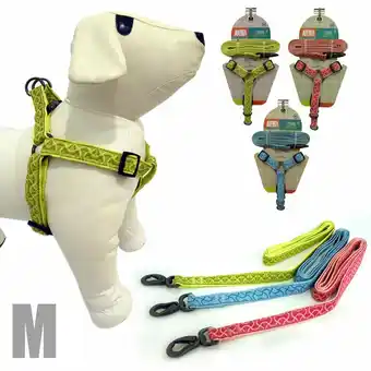 Tottus Pechera y correa 1.5x10/14 oferta