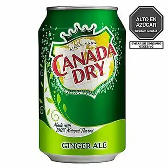 Tottus Canada dry ginger ale oferta