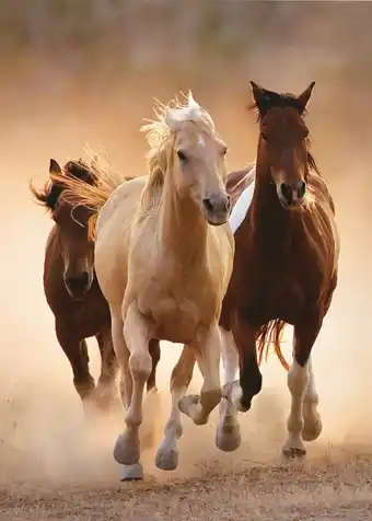 Tottus Rompecabezas 1000 caballos corriendo oferta