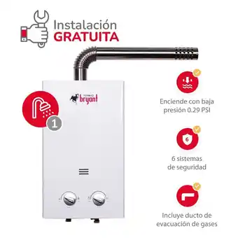 Tottus Terma a gas 6 l bryant gn tf oferta