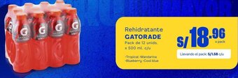 Makro Rehidratante GATORADE Pack de 12 unids. x 500 ml. c/u oferta