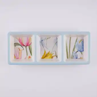Tottus Plato piqueo melamine 3 divis botanic 2 oferta