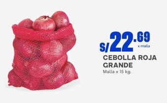 CEBOLLA ROJA GRANDE Malla x 15 kg.
