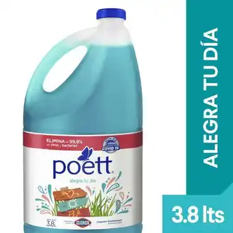 Vivanda Limpiador poett alegra tu día botella 3.8l oferta