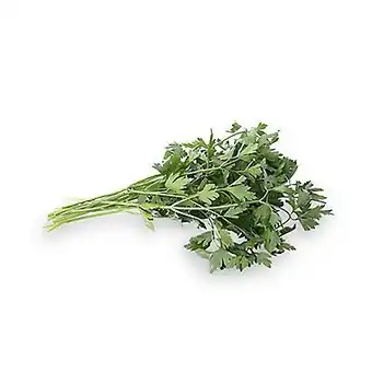 Tottus Perejil oferta