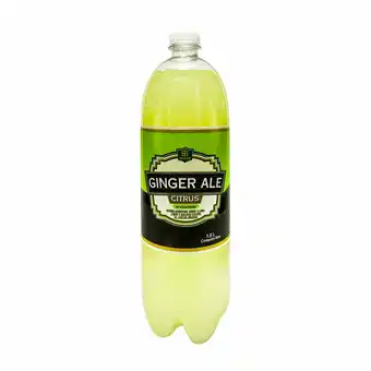 Tottus Ginger ale citrus sin azúcar añadida oferta