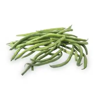 Tottus Vainita americana oferta