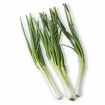 Tottus Cebollita china x un oferta