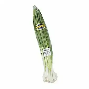 Tottus Cebolla china linea verde x un oferta