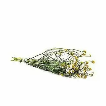 Tottus Manzanilla x un oferta