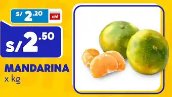 Plaza Vea MANDARINA oferta