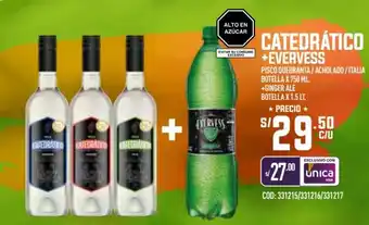 Vega CATEDRÁTICO +EVERVESS PISCO QUEBRANTA / ACHOLADO / ITALIA BOTELLAX 750 ML. +GINGER ALE BOTELLA X 1.5 LT. oferta