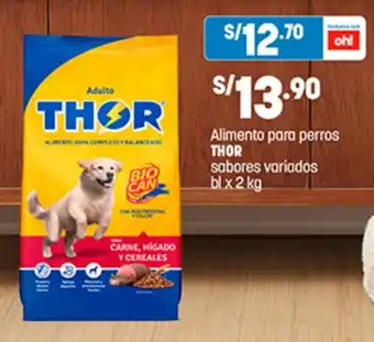 Plaza Vea Alimento para perros THOR sabores variados bl x 2 kg oferta