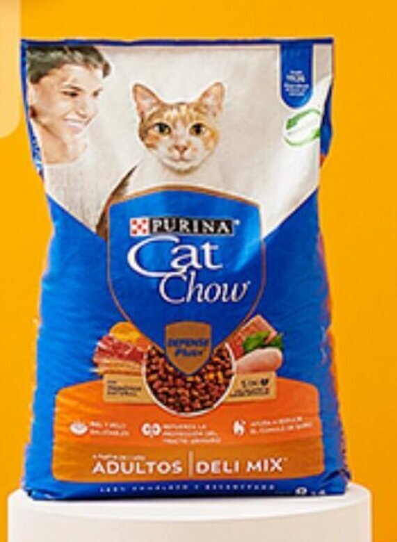 Plaza Vea Alimento para gatos CAT CHOW sabores variados bl x 8 g oferta