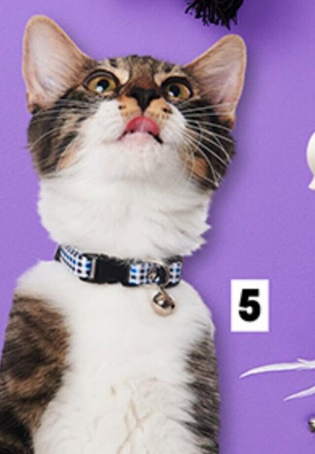 Plaza Vea Collar de gato PET STAR cuadritos x unid oferta