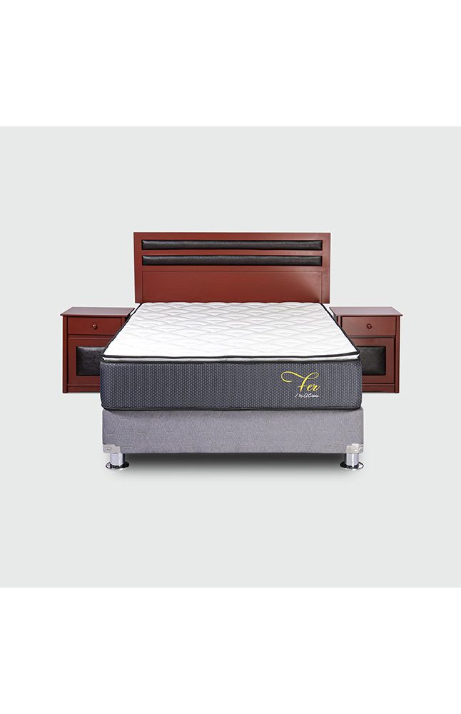 Tiendas EFE Juego de dormitorio el cisne daguvas queen + 2 almohadas f600 + protector notex oferta