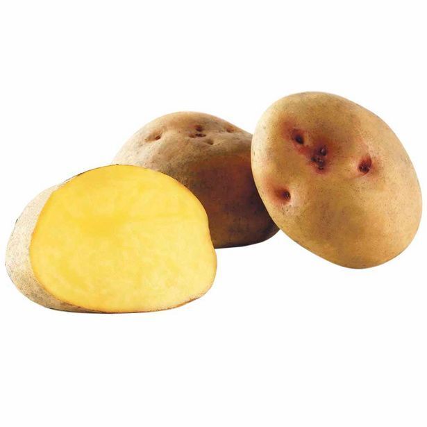 Vivanda Papa blanca yungay oferta