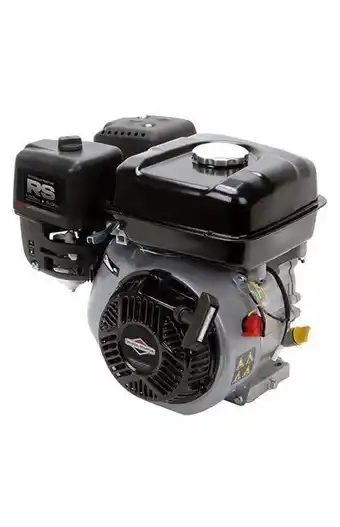 Tiendas EFE Motor a gasolina 5.0hp briggs & stratton oferta