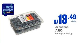 Makro Arándano ARO Bandeja x 500 g. oferta