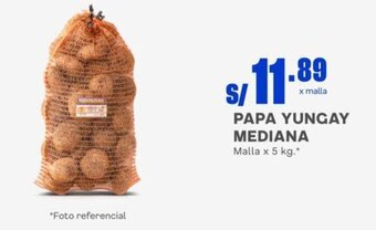 Makro PAPA YUNGAY MEDIANA Malla x 5 kg. oferta