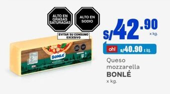 Queso mozzarella BONLÉ x kg.