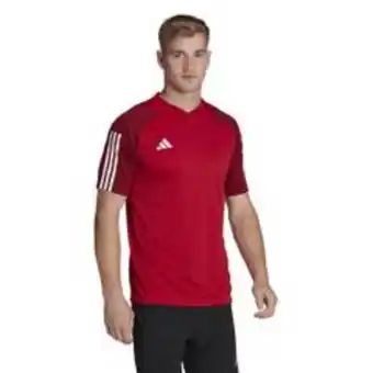 Maestro Camiseta de entrenamiento adidas hombre perú 2023 oferta
