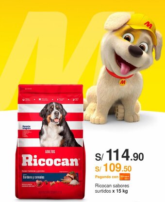 Metro Ricocan sabores surtidos x 15 kg oferta