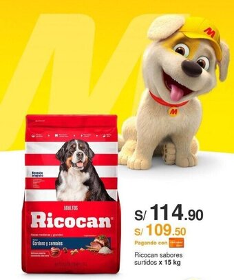 Metro Ricocan sabores surtidos x 15 kg oferta
